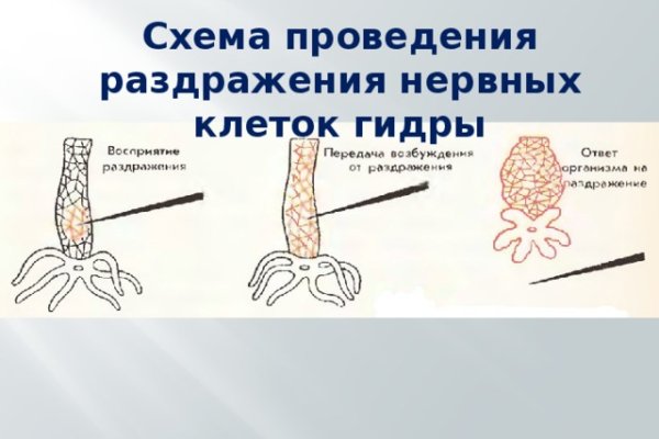 Kraken зеркало