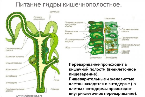 Kraken darknet ссылка тор